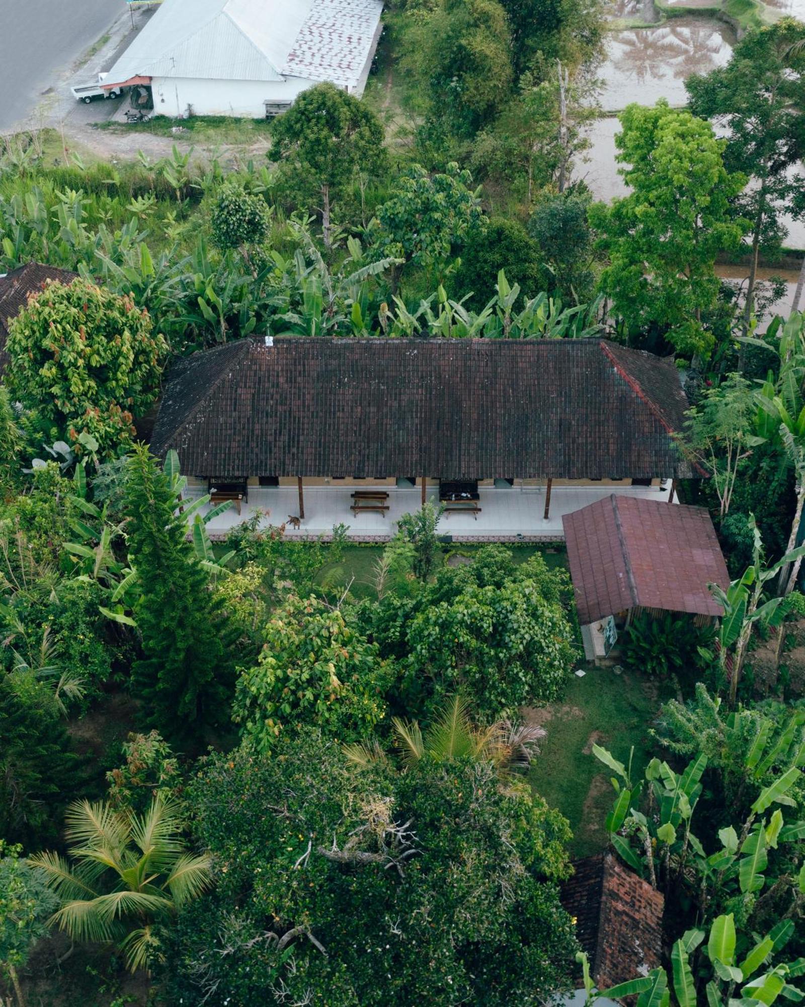 Bucu Hidden Guest House, And Meditation Center Payangan Ngoại thất bức ảnh